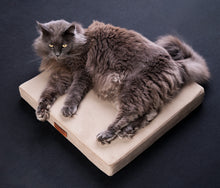 Load image into Gallery viewer, Pet Mattress