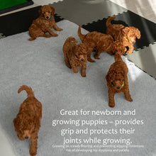 Load image into Gallery viewer, Fleece pet rug