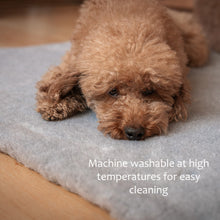 Load image into Gallery viewer, Fleece pet rug