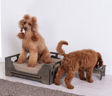 Load image into Gallery viewer, Dog Bed