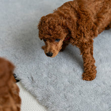 Load image into Gallery viewer, Fleece pet rug