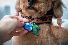 Load image into Gallery viewer, Blueberry ID Tag