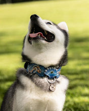 Load image into Gallery viewer, Blue Koi Collar