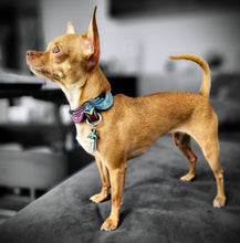 Load image into Gallery viewer, Legend of Zelda Collar