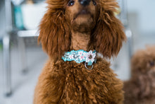 Load image into Gallery viewer, Teal Sakura Collar