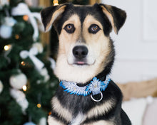 Load image into Gallery viewer, Angel Wings Collar