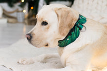 Load image into Gallery viewer, Elven Leaves Collar