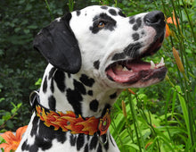 Load image into Gallery viewer, Fire Nation Collar