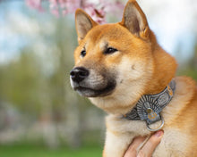 Load image into Gallery viewer, LoTR Aragorn Crown Collar