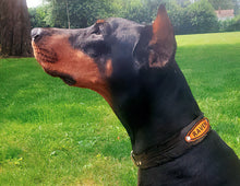 Load image into Gallery viewer, Customized Feather Collar