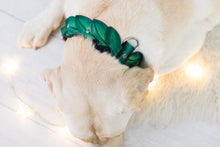 Load image into Gallery viewer, Elven Leaves Collar