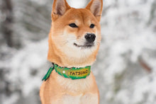 Load image into Gallery viewer, Bamboo Collar