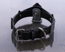 Load image into Gallery viewer, LoTR Aragorn Crown Collar