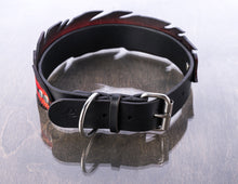 Load image into Gallery viewer, Red Feather Collar