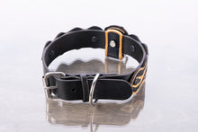 Load image into Gallery viewer, Hunger Games Collar