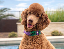 Load image into Gallery viewer, Lavender Collar Set