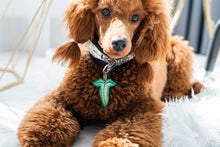 Load image into Gallery viewer, Lord of the Rings ID Tag