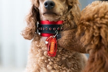 Load image into Gallery viewer, Baywatch ID tag