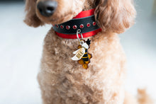 Load image into Gallery viewer, Bee and Honey ID Tag