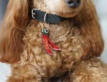 Load image into Gallery viewer, Chilli Pepper ID Tag