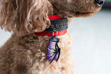 Load image into Gallery viewer, Dragon Wing ID Tag