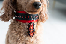 Load image into Gallery viewer, Dragon Wing ID Tag