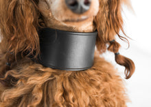 Load image into Gallery viewer, Extra Strong Collar