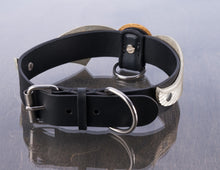 Cargue la imagen en el visor de la galería, Collar de Snitch Dorada