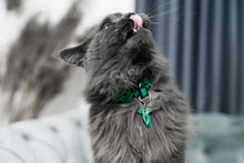Load image into Gallery viewer, Lord of the Rings Tiny Cat ID Tag