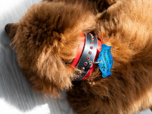 Load image into Gallery viewer, Decorative ID Tag