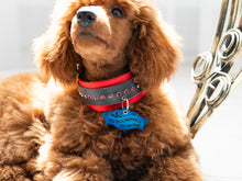 Load image into Gallery viewer, Decorative ID Tag