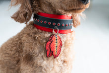 Load image into Gallery viewer, Feather ID Tag