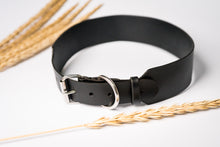 Load image into Gallery viewer, Personalized Collar