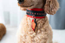 Load image into Gallery viewer, Little Wings ID Tag