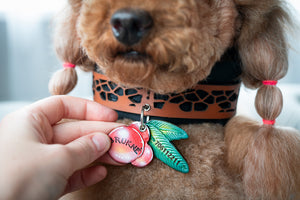 Red Berry ID Tag