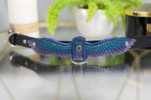 Raven Wing Collar