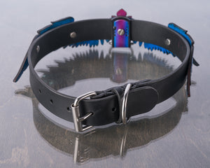 Purple Wings Collar