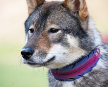 Cargue la imagen en el visor de la galería, Collar de plumas morado
