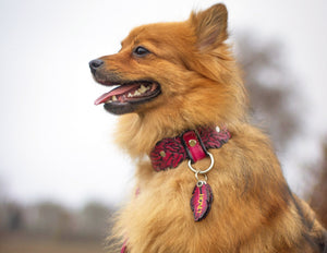 Collar de plumas de rubí