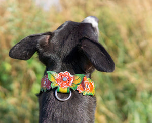 Collar de rosa roja