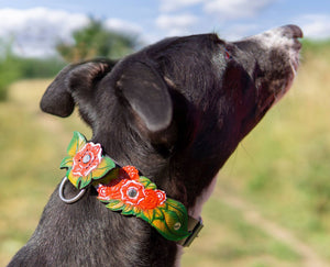 Red Rose Collar