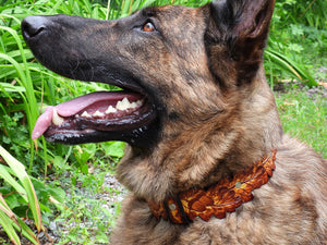 Collar de roble de otoño