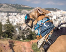 Cargue la imagen en el visor de la galería, Collar de alas de ángel
