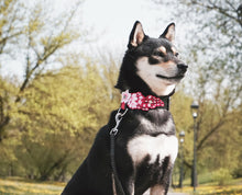 Cargue la imagen en el visor de la galería, Collar de flor de Sakura
