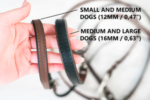 Multifunctional Leather Leash