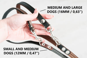 Multifunctional Leather Leash