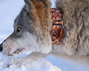 Native Feather Collar