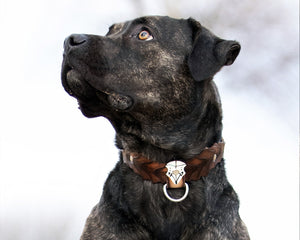 Collar de cuerno y calavera