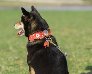 Red Floral Collar