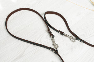 Multifunctional Leather Leash